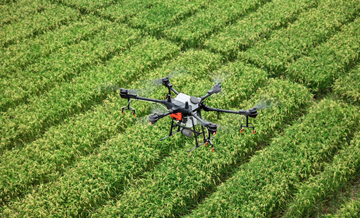 İHA-P1 Eğitimiyle Drone Dünyasına Giriş
